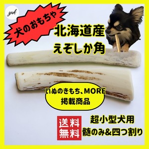 髄のみ＆四つ割り 2本セット　超小型犬用　蝦夷鹿のツノ　ワンちゃん用オモチャ　ドッグガム　鹿角　