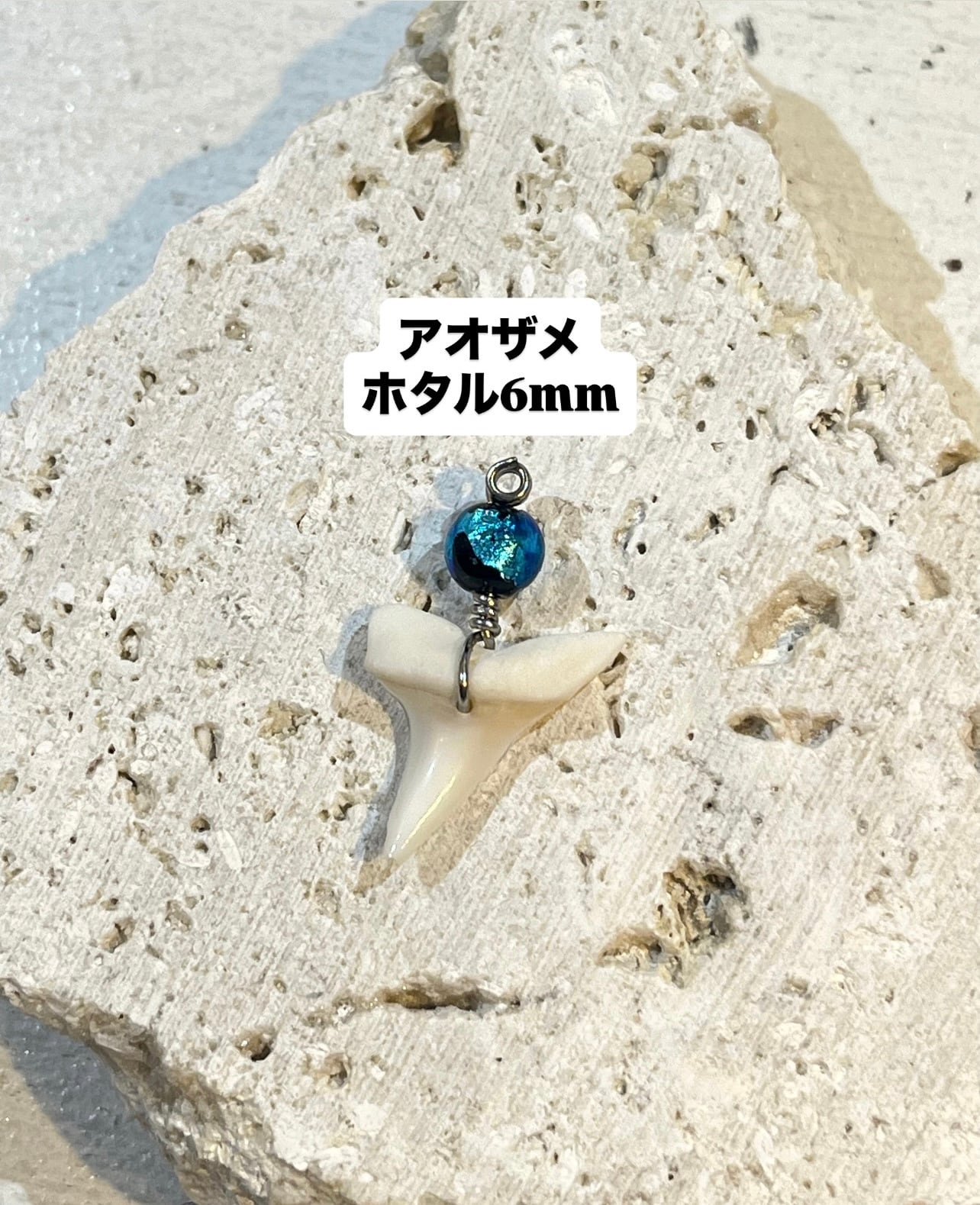 サメの歯 | SANBASHI 平和通り