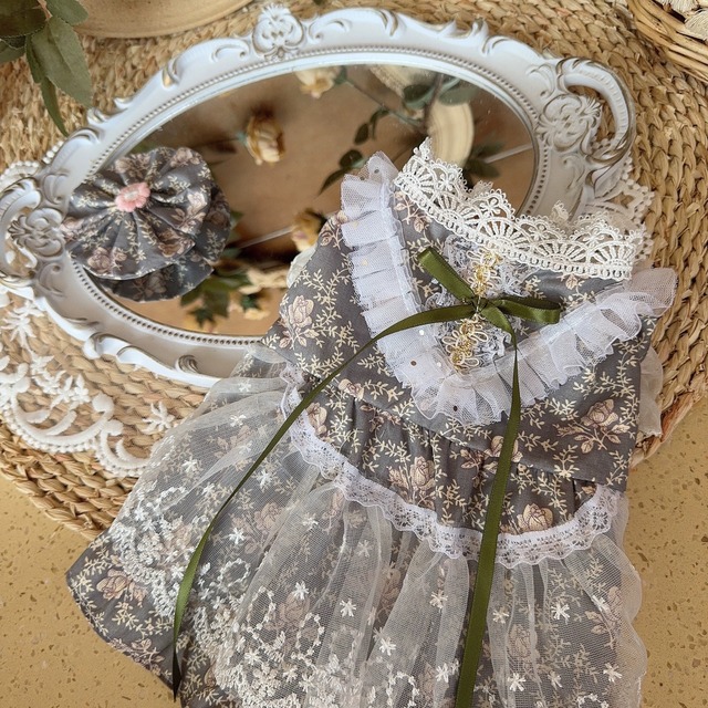 victorian gray dress