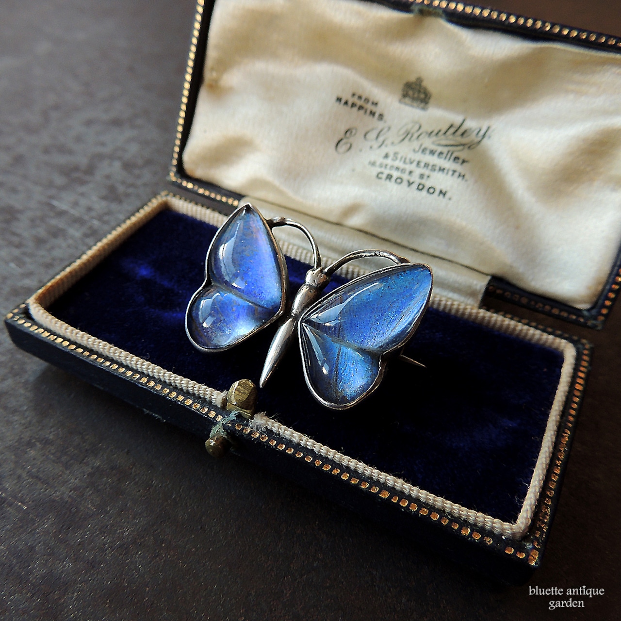 アンティークジュエリー スターリングシルバー モルフォ蝶 ブローチ(バタフライタイプ)