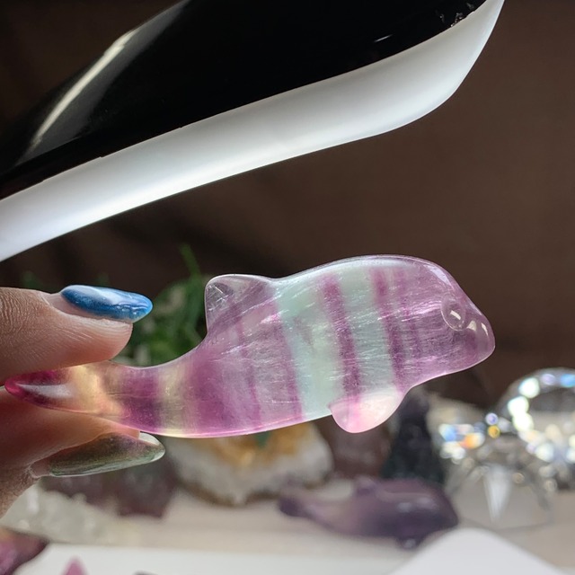 3.癒☆可愛いフローライトイルカさん