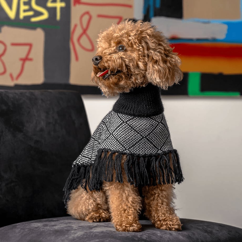 【Alqo Wasi(アルコワシ)】ダイヤモンド ブラック アルパカ ドッグ ポンチョ/Diamond Black Alpaca Dog Poncho XLサイズ