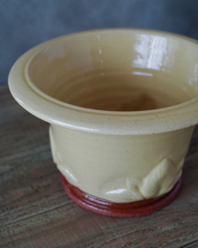 ウィッチフォード 【高級植木鉢】 ミニホスタポット φ24cm 【Whichford Pottery】