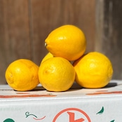 【おまかせ淡路島レモン5KG】発送中