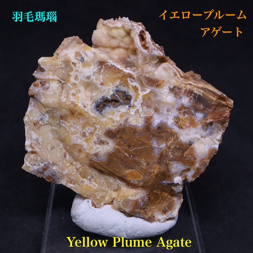 ※SALE※ イエロープルーム アゲート 瑪瑙 52,8g YPA018 鉱物 原石 天然石 パワーストーン