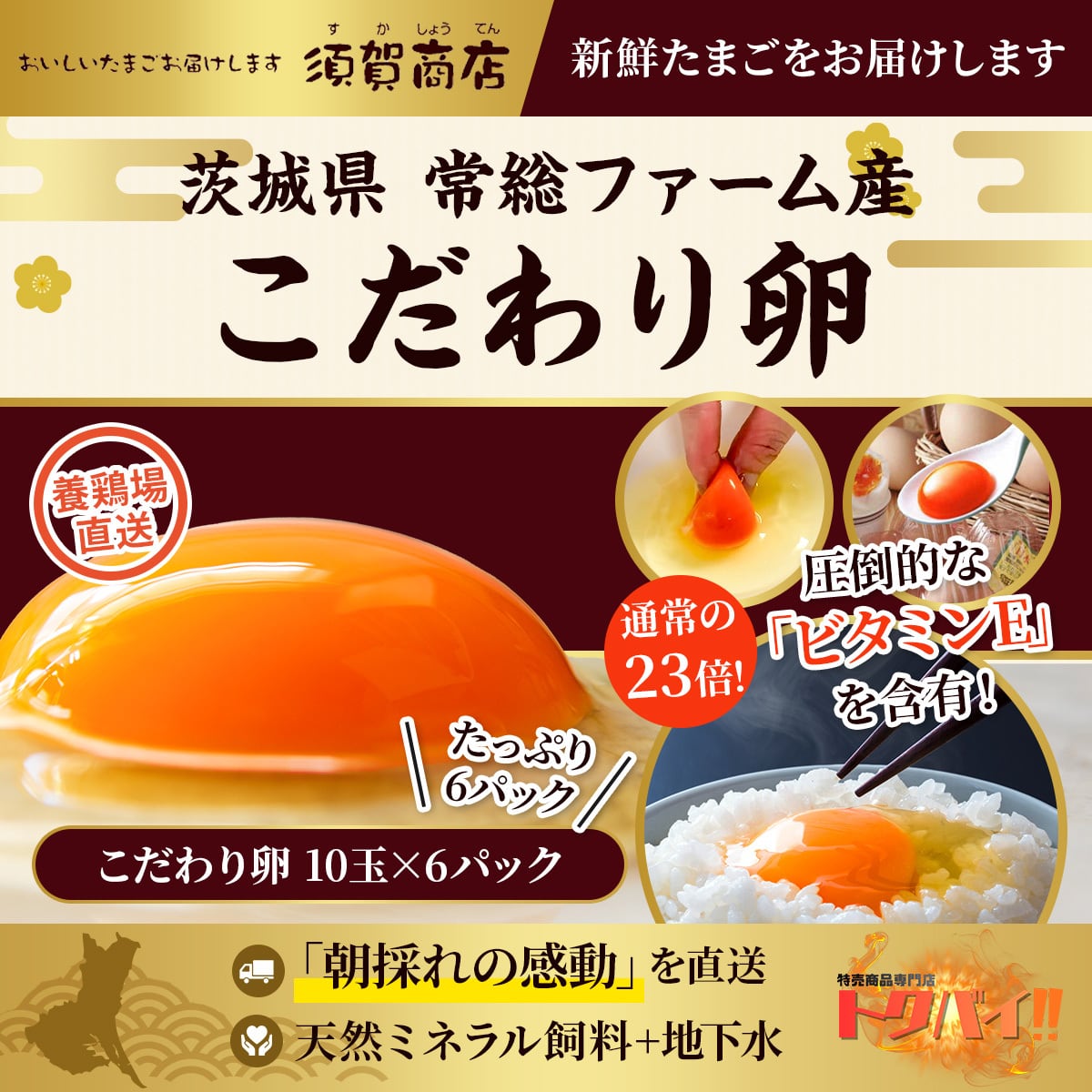 【ビタミンeが通常の23倍?! 】こだわり卵|10玉×6パック|茨城県産|直送|養鶏場直送|ビタミンe|新鮮|たまご|卵|究極|濃厚|濃厚卵黄|養鶏場|須賀商店|常総ファーム|弾力|こだわり|卵かけご飯|ゆで卵|卵焼き|卵料理|