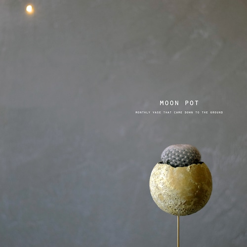 moon pot（サボテン・満月）