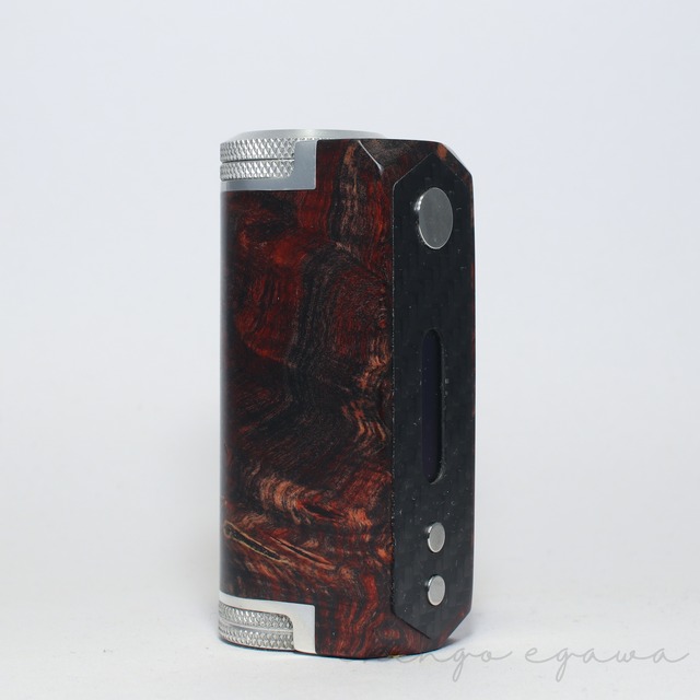 【USED】SLGT V2 by STICKMAN