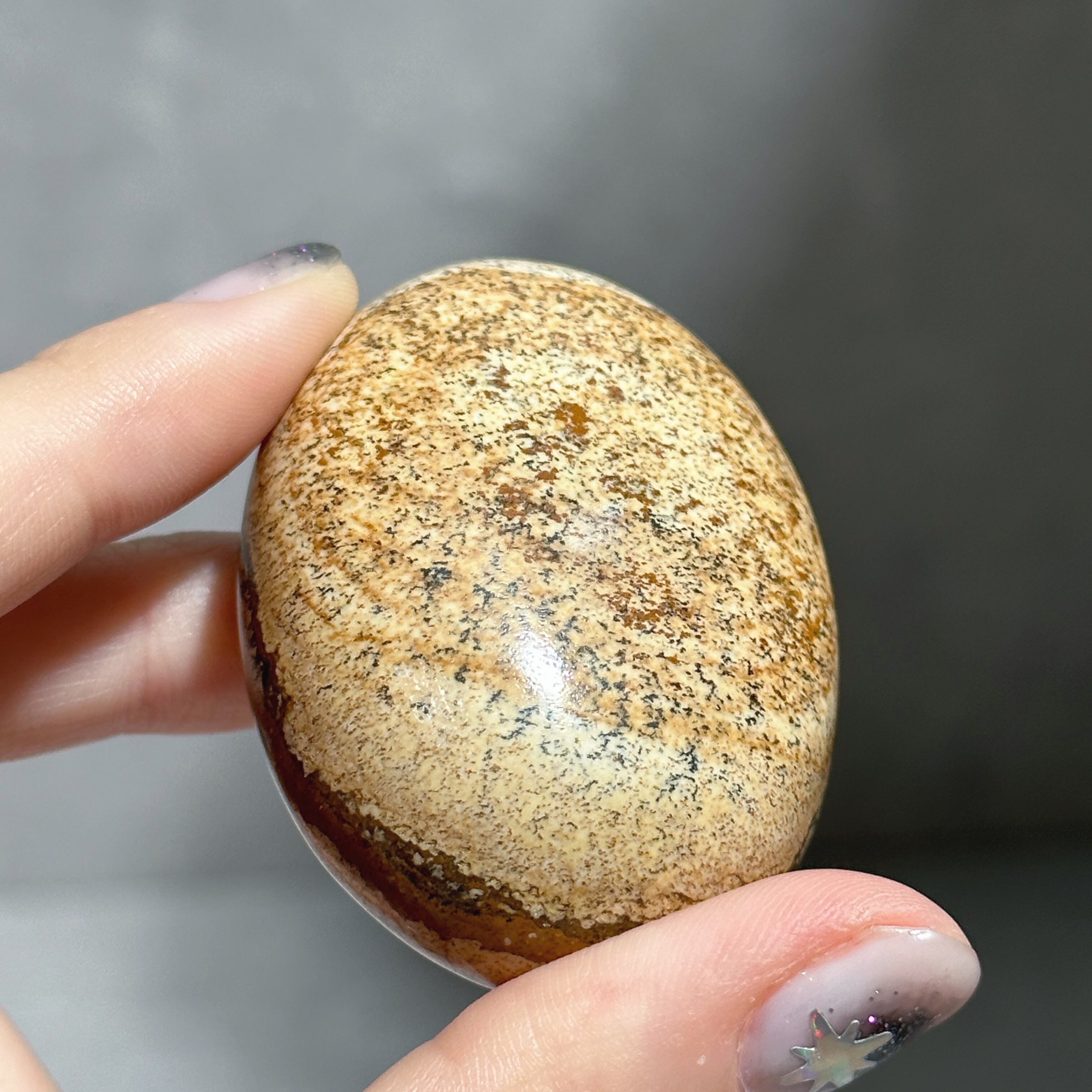 ピクチャージャスパー パームストーン02◇ Picture Jasper ピクチャージャスパー パームストーン02◇ Picture Jasper