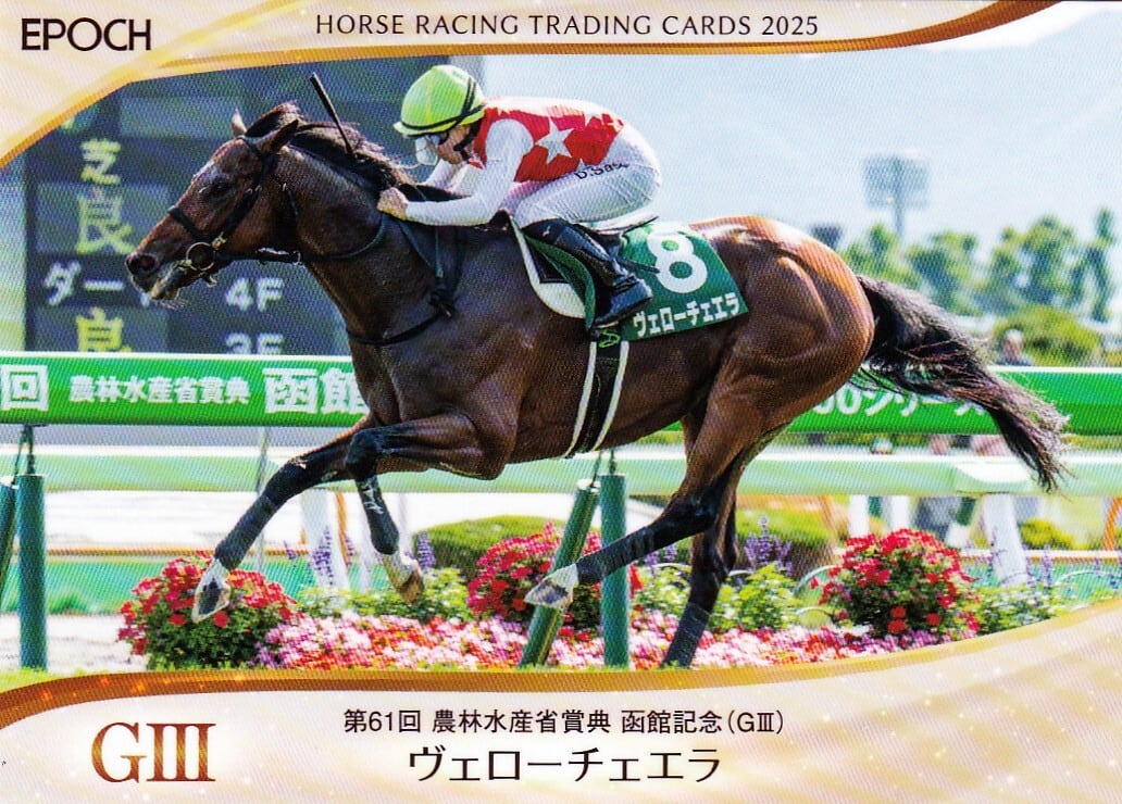 単勝馬券 グラスワンダー 有馬記念2枚 サクラスターオー 有馬記念現地単勝馬券 1930年 香港？ドッグレース狗