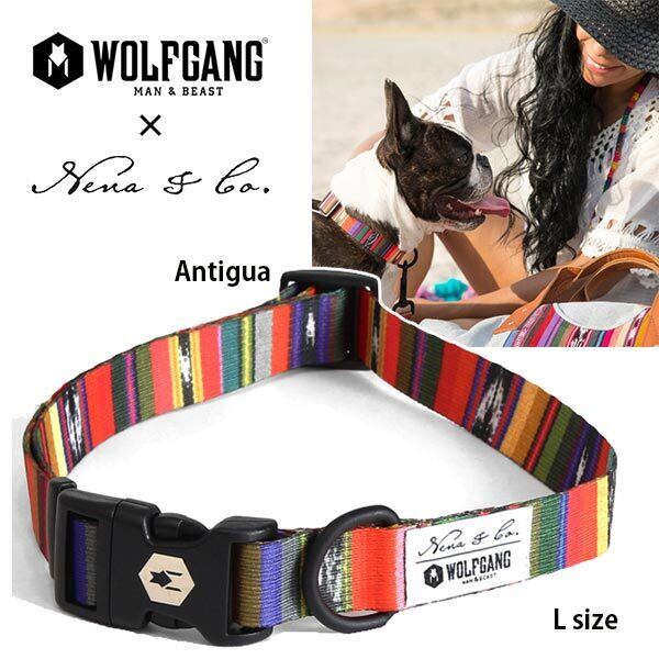 Antigua COLLAR Lサイズ 首輪 WOLFGANG ウルフギャング アメリカ 大型犬