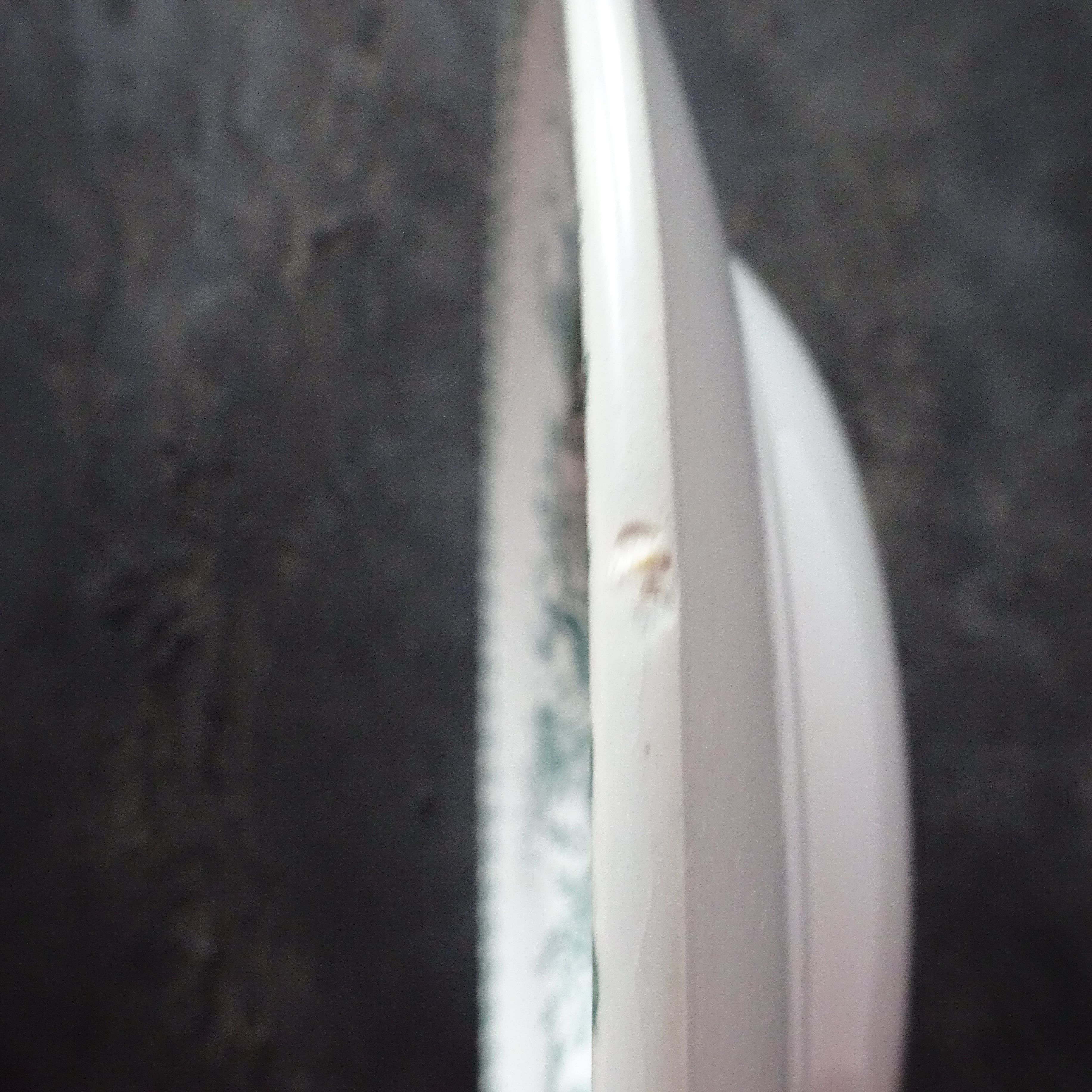 【 Épuisé 】Saint Amand modèle《TRIANON》assiette creuse (B)