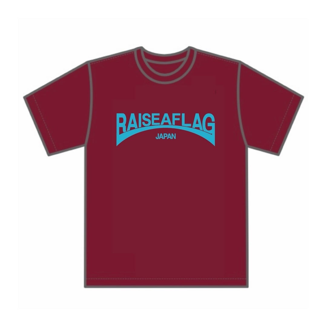 RAISE A FLAG