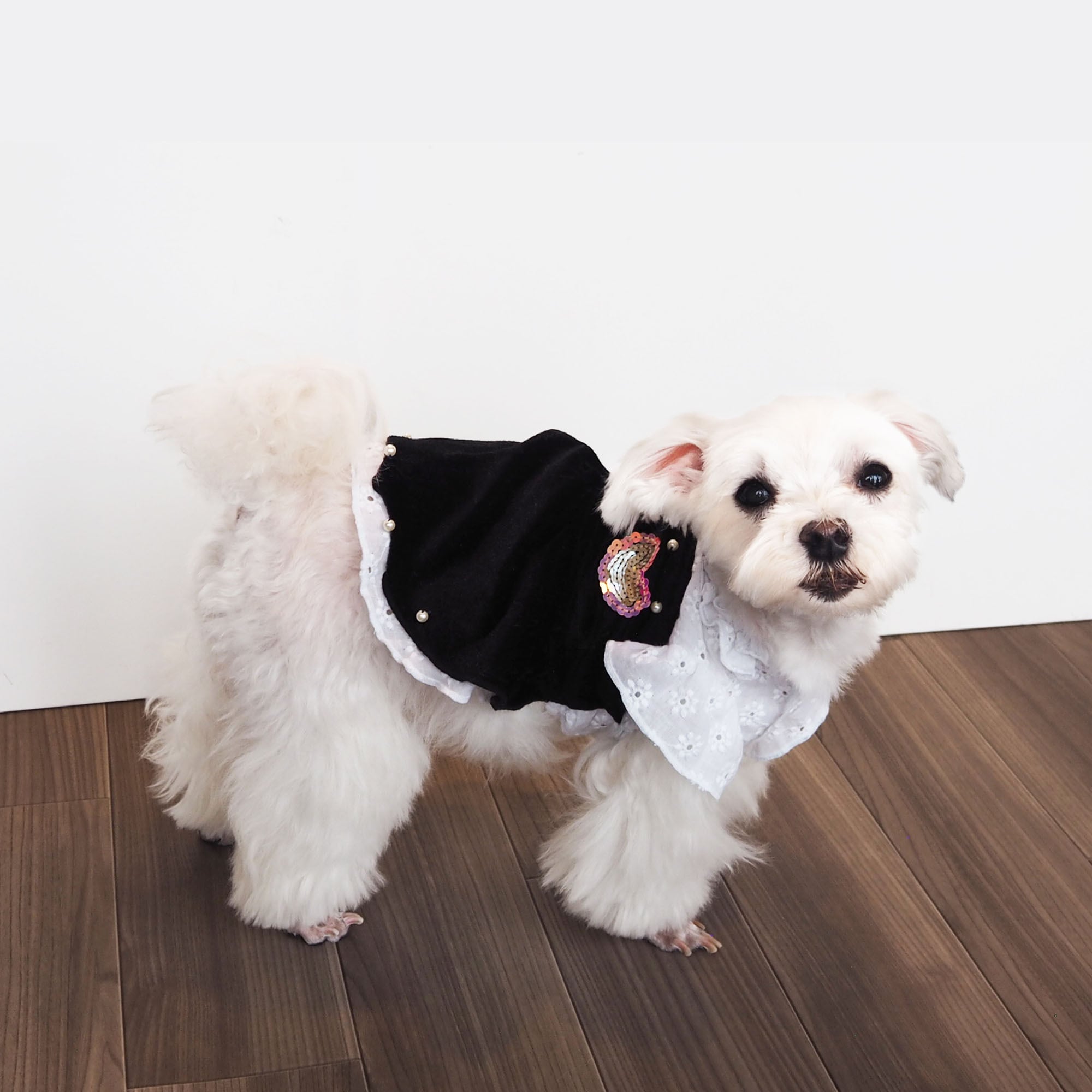 【ドッグウェア】 キラキラハート付ワンピ