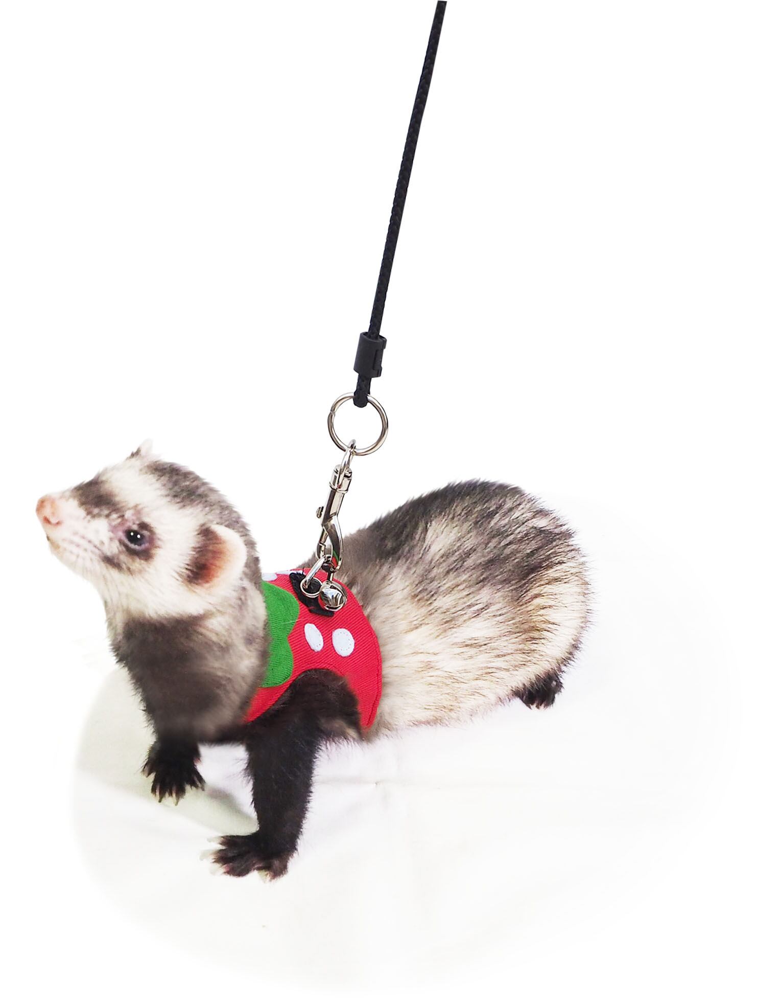 【簡単着脱】【フェレット】フェレっ子ハーネス