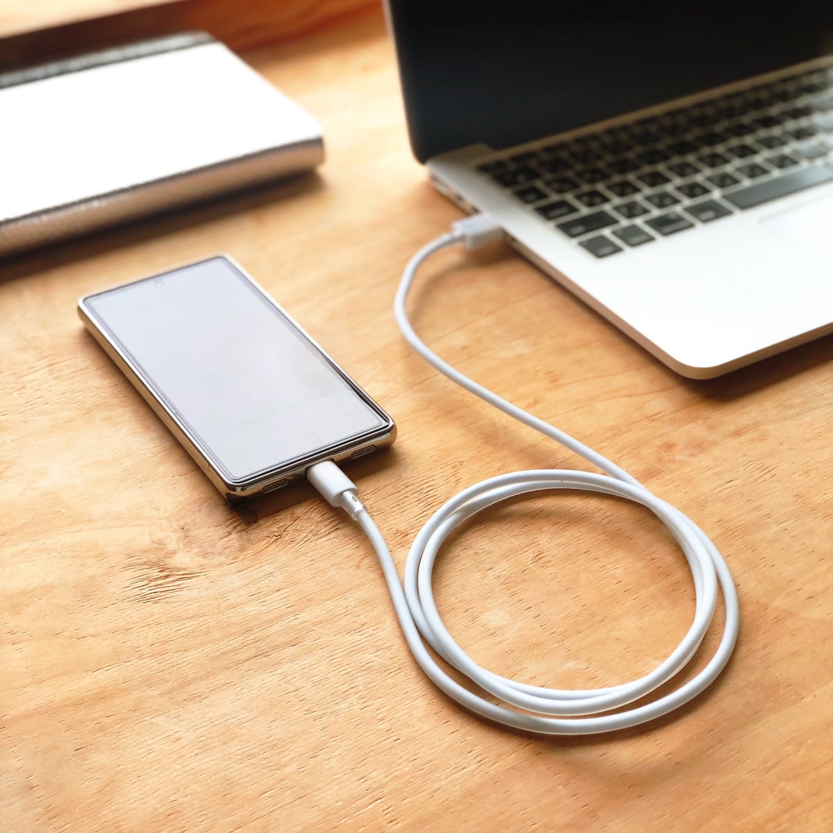 2025SS 新商品／【Sheer カラーシリーズ】Type-A/Type-Cケーブル 1.2m