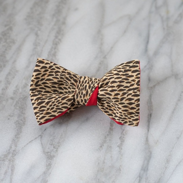 CINABRE | Llumette Brown - Bow Tie | 新郎用蝶ネクタイ