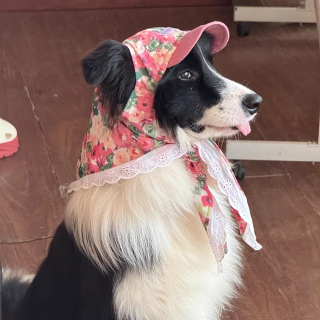 カラフル花柄のペット用サンシェードキャップ　00771