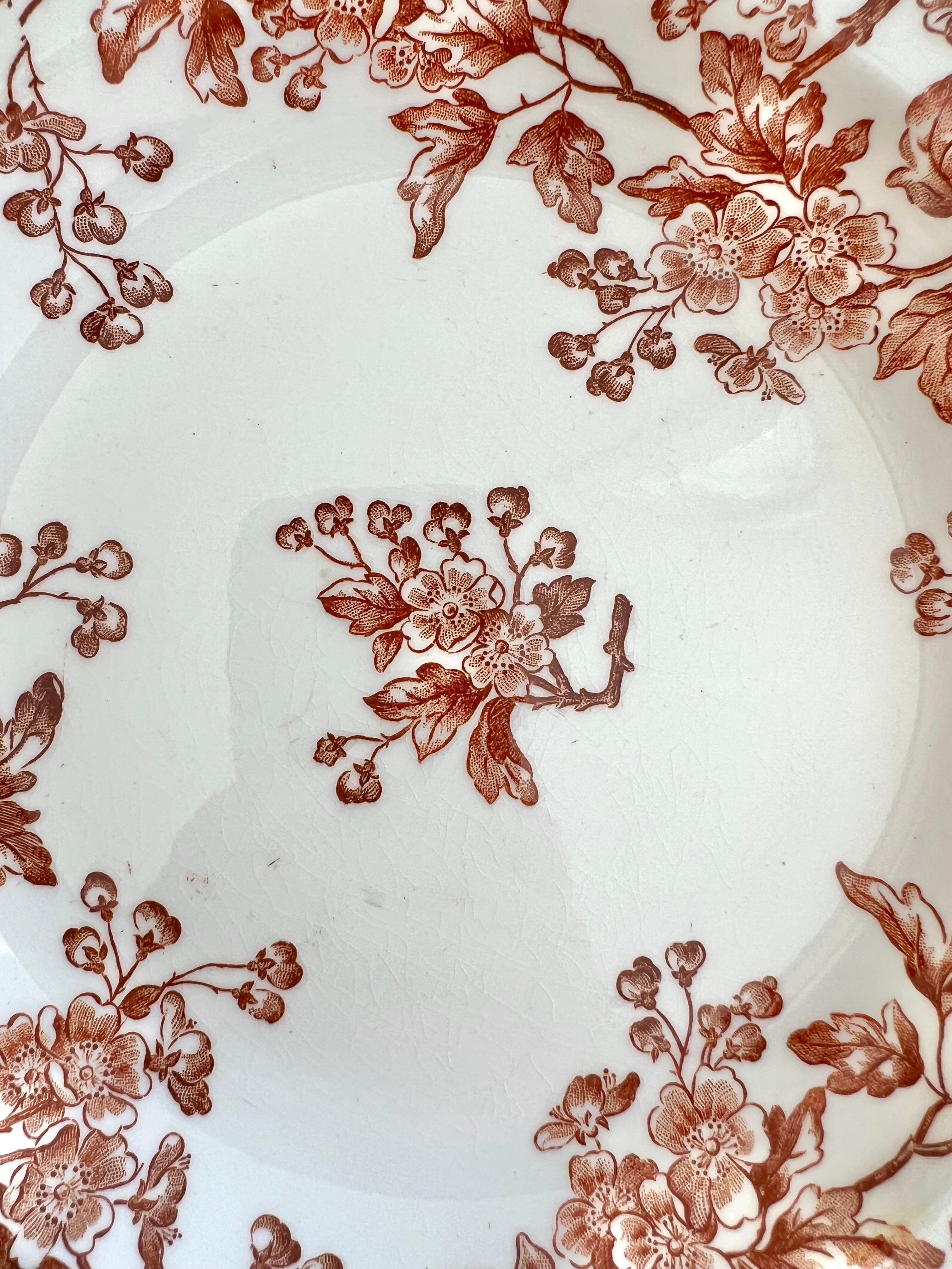 Longwy épine 深皿2 | antiquemanon