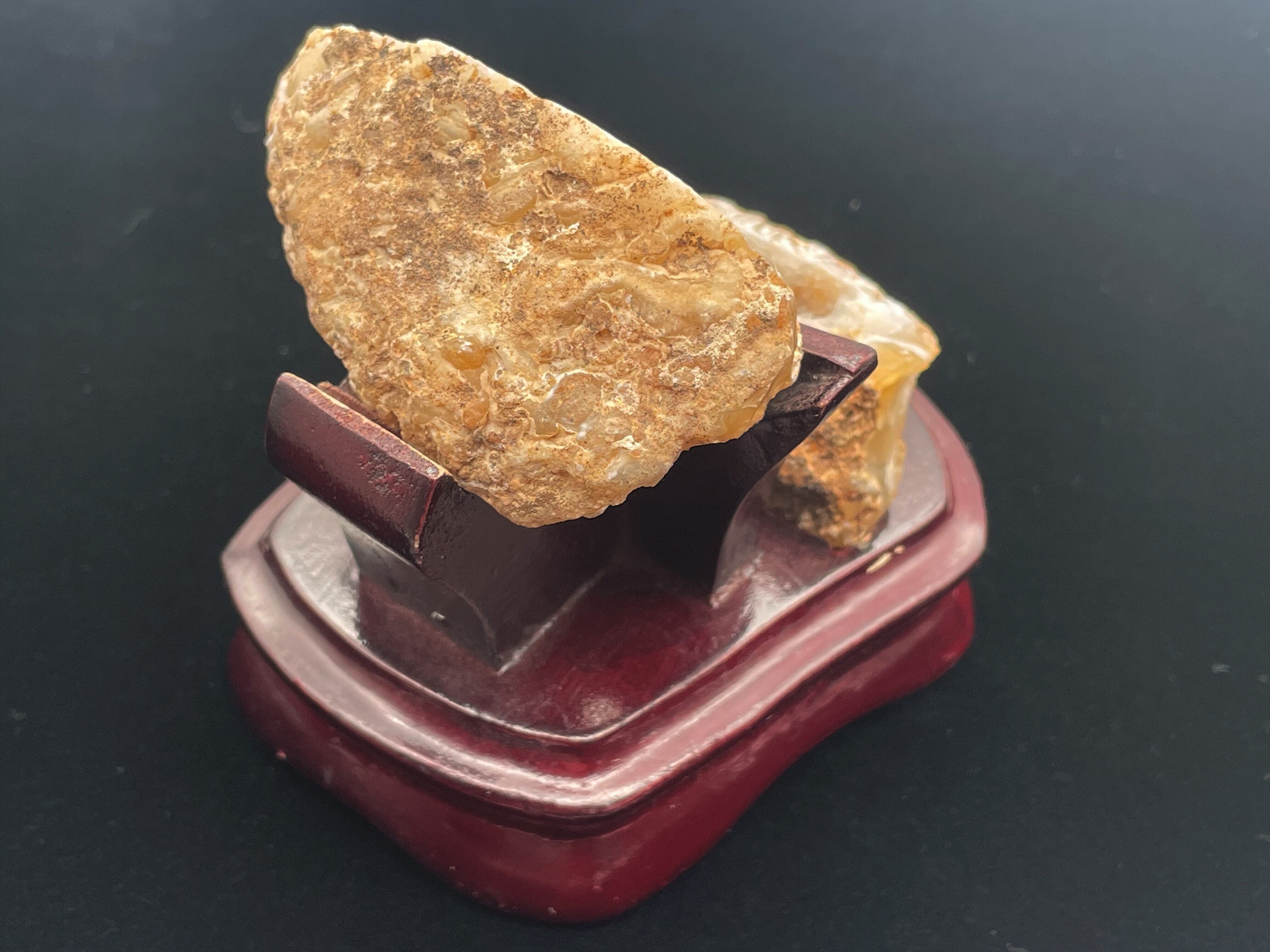 トレジャーメノウ | DantaliaN