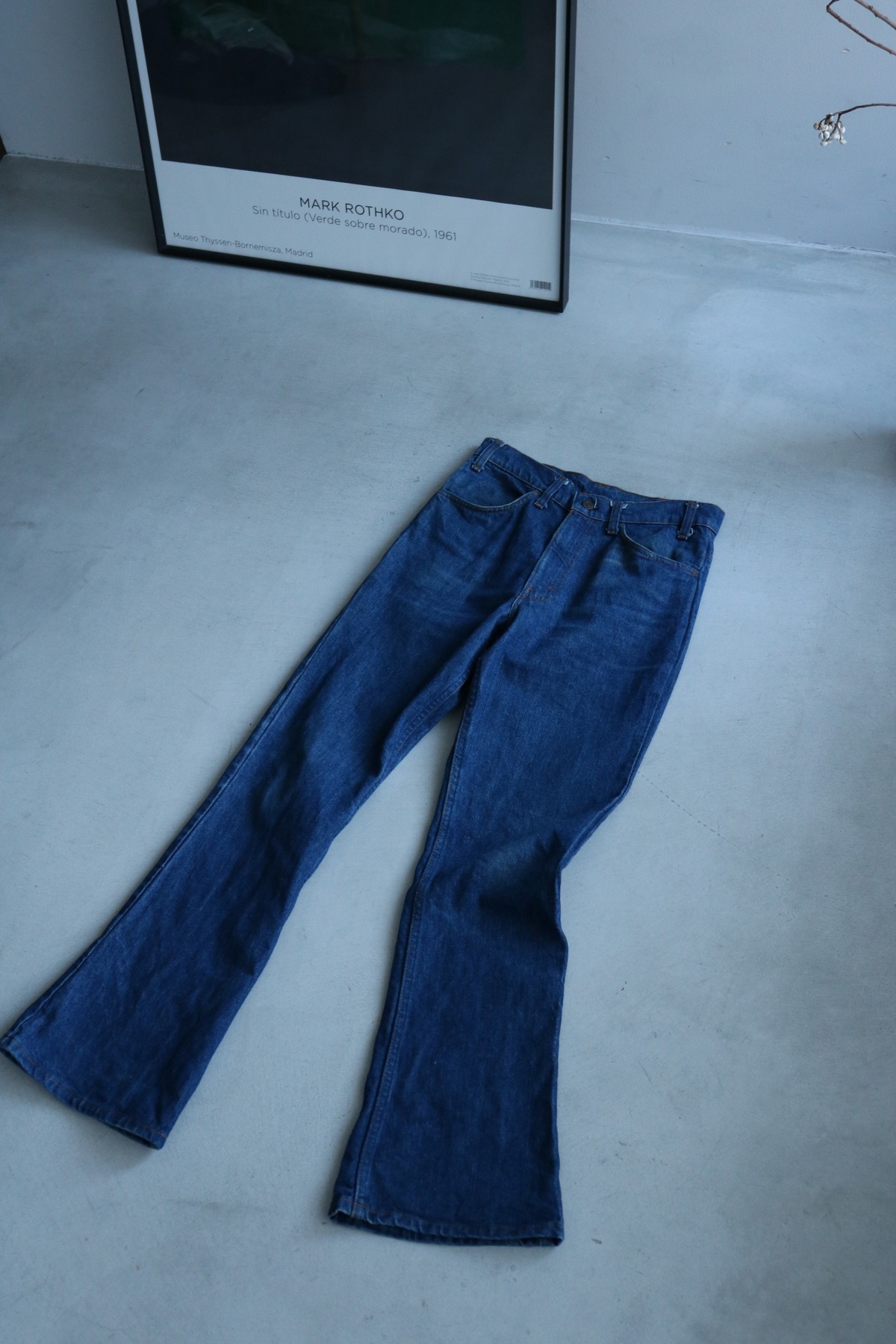 Vintage Levis 646 denim pants | Cary