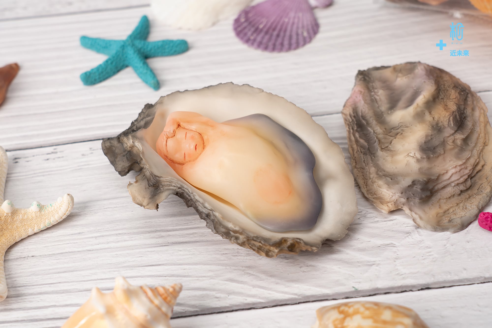 牡蠣の子｜近未来｜ | sumart