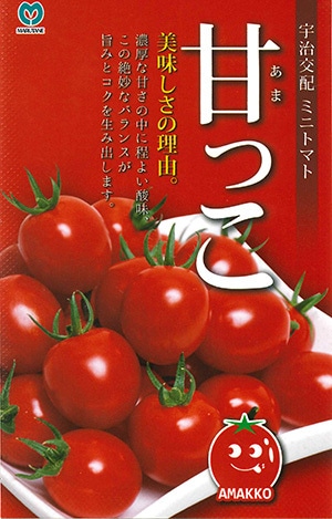 種子8粒入り「甘っこ」＊送料無料