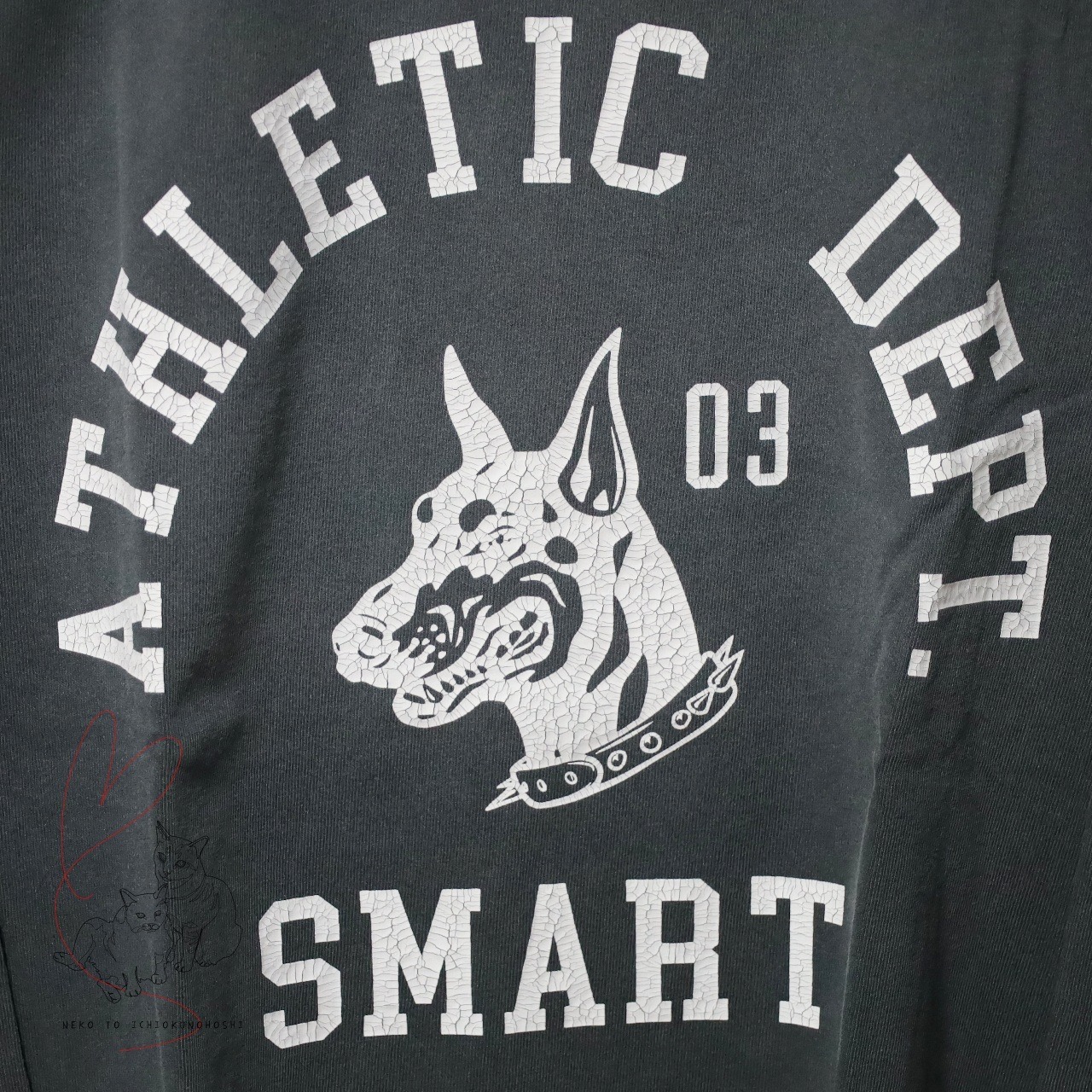 OE天竺編みピグメント ドッグ クラック プリント ロンT 犬 長袖 Tシャツ