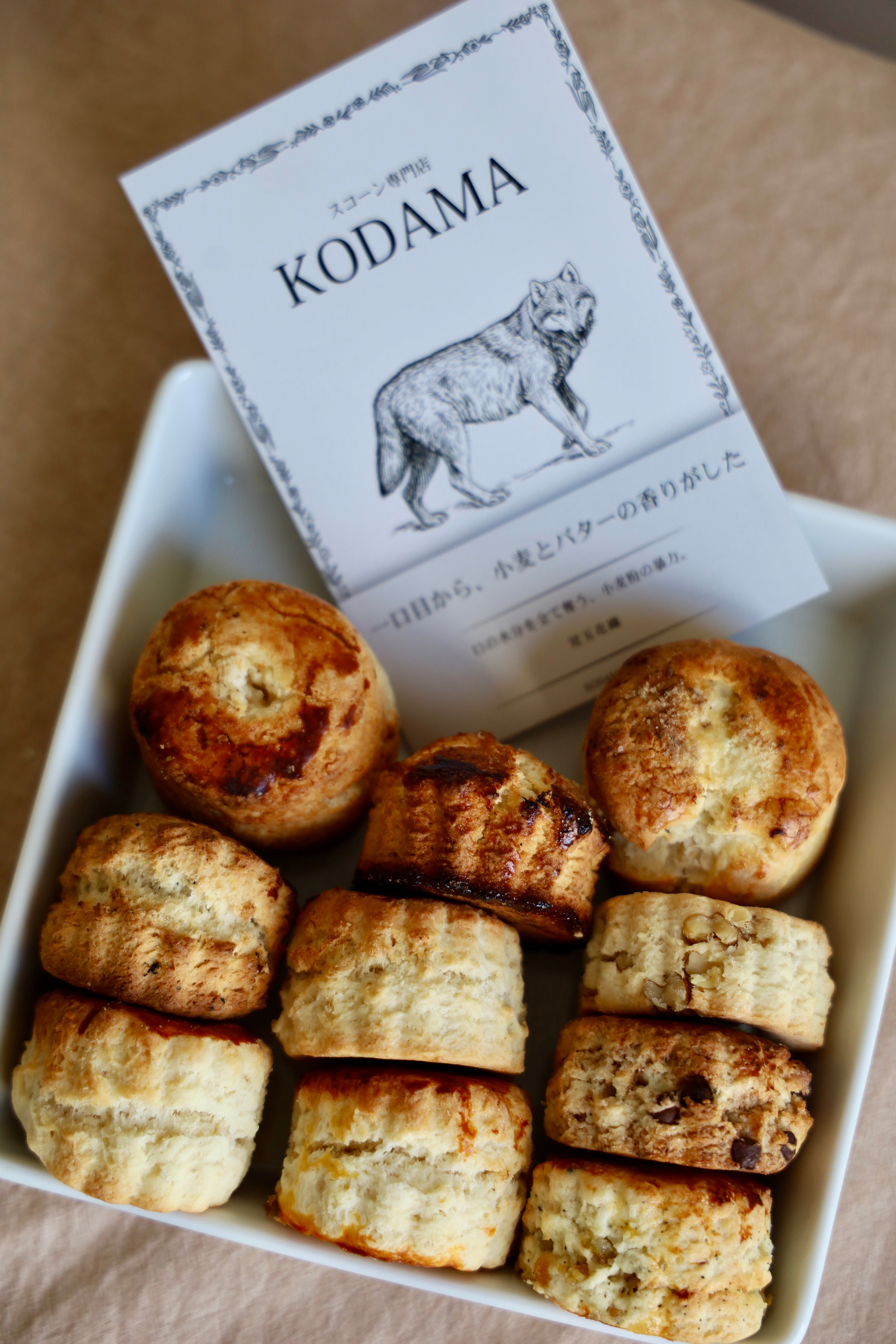 専用　スコーン スコーン専門店KODAMA
