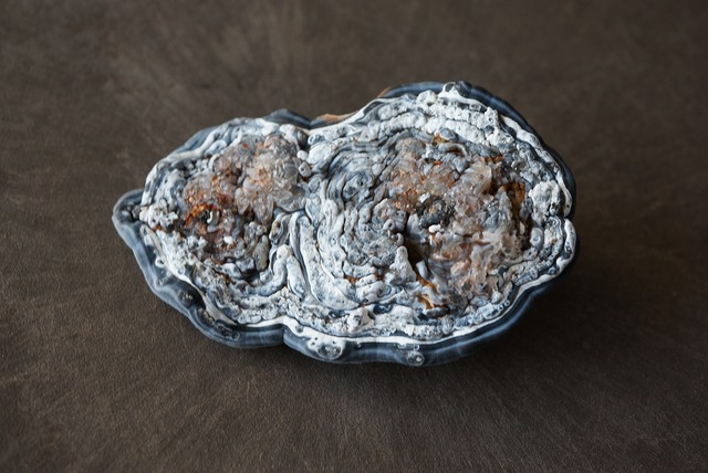 コンシャ・アゲート Concha Agate 894