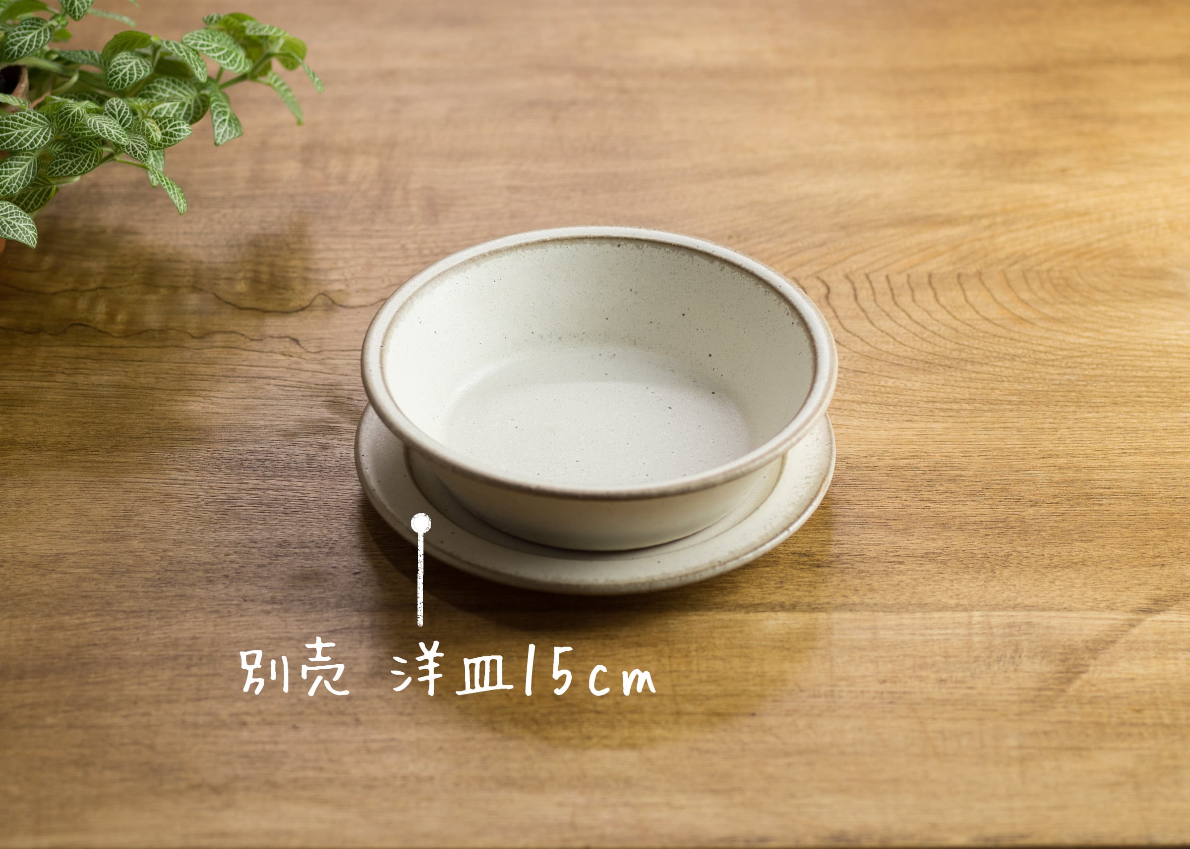 SHIROUMA 浅鉢 15cm 白（シリアルボウル・グラタン皿・耐熱皿