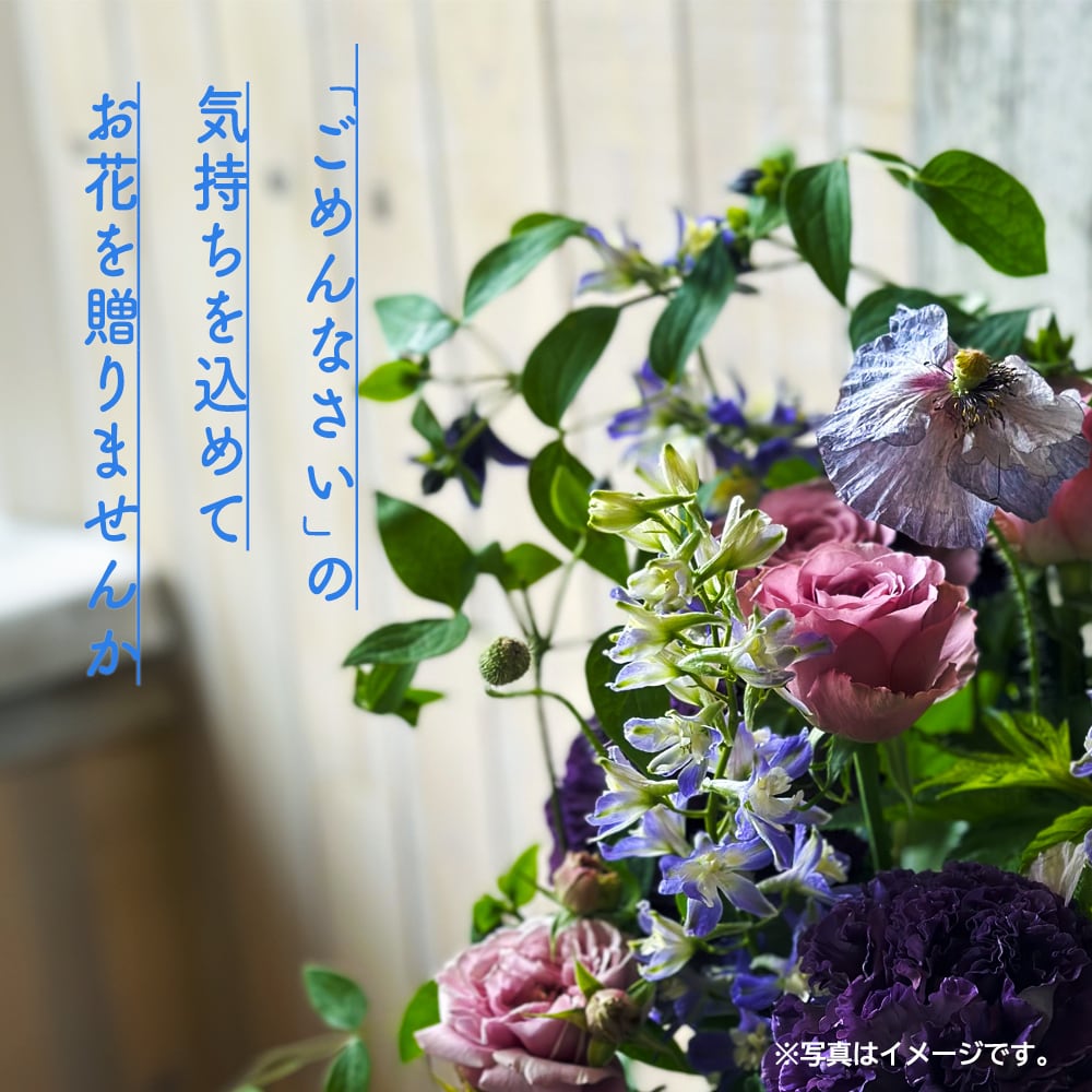 心を伝える花 キモチ [ごめんなさい GOMENNASAI」 | 花と植物の