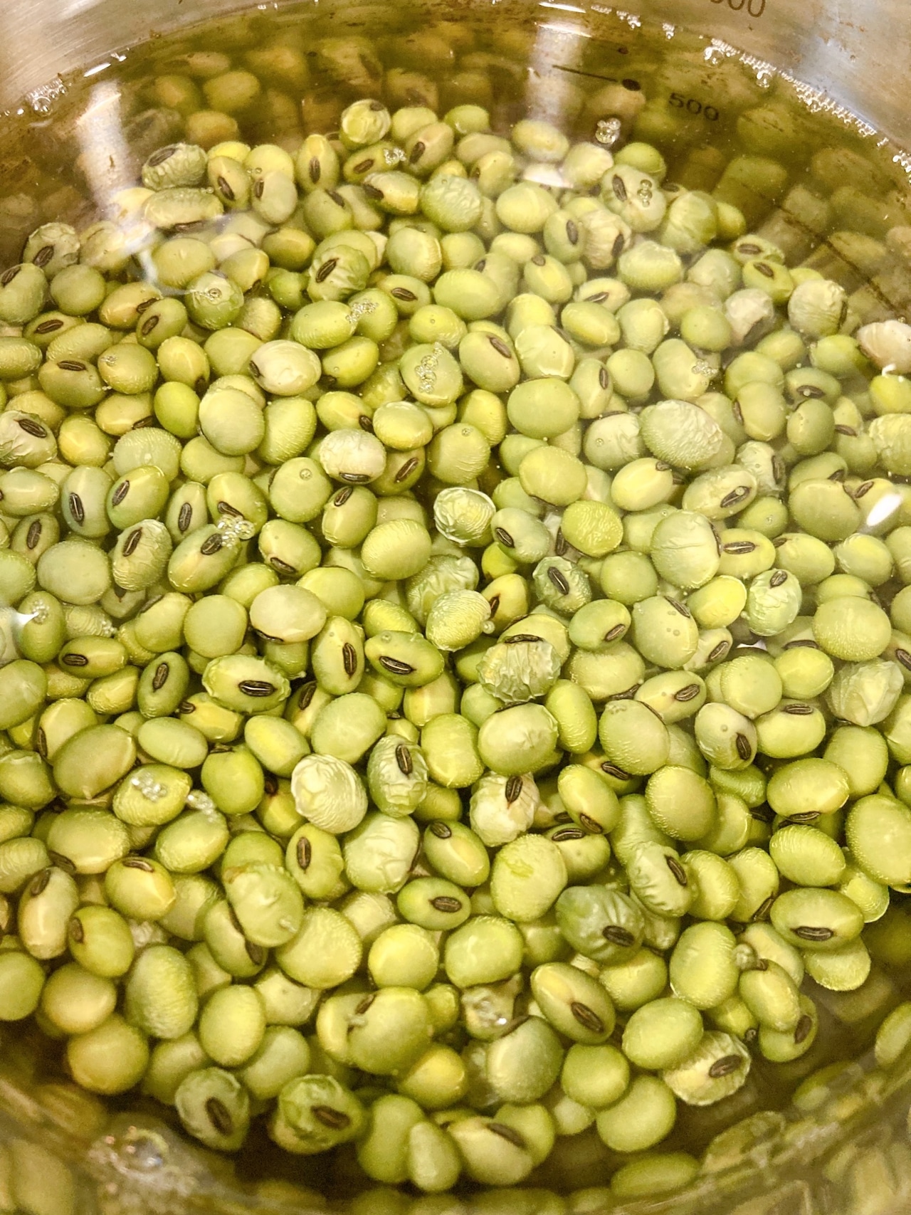 【令和6年産】山形産 青大豆300グラム