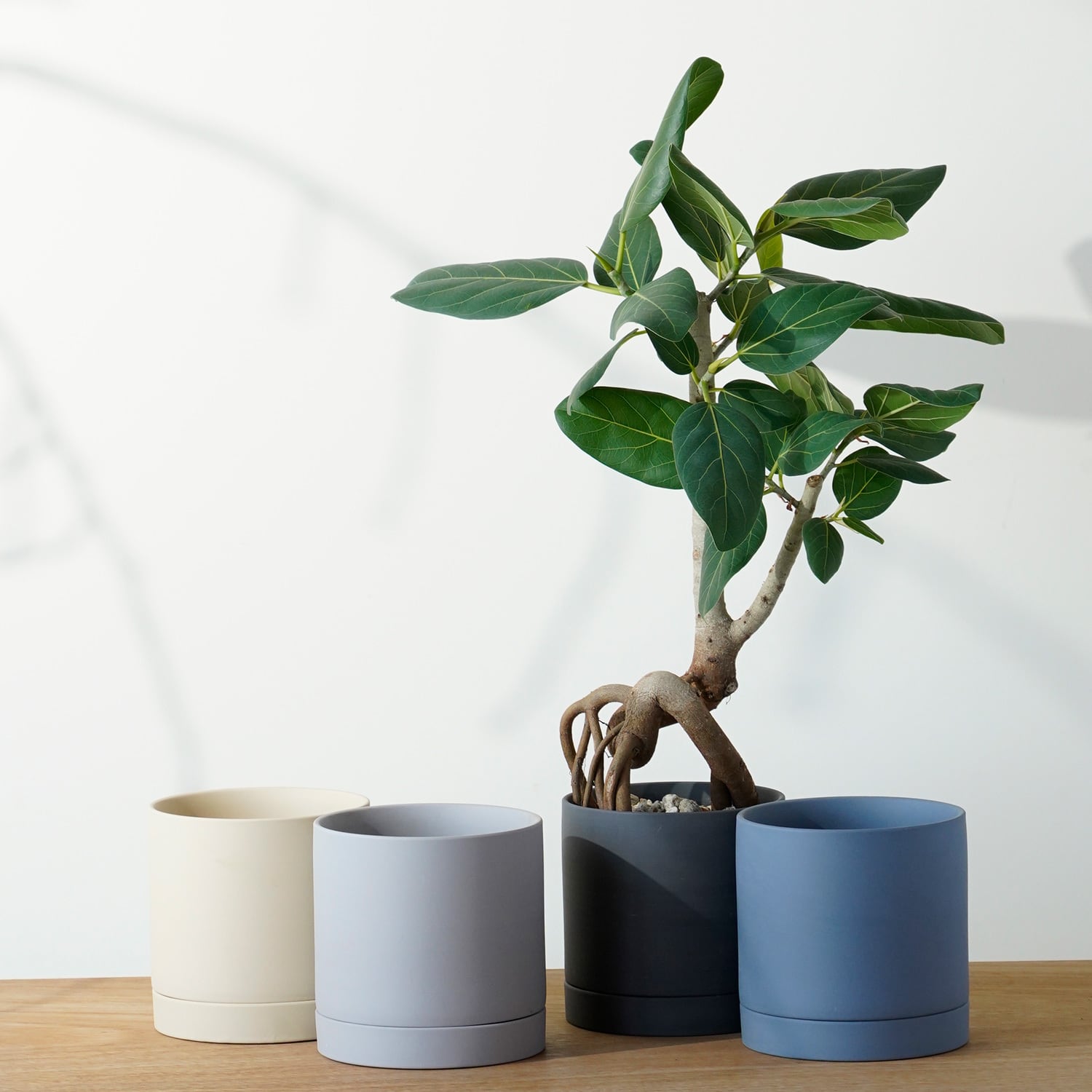 植木鉢・園芸用品 | AYANAS（アヤナス）｜観葉植物のセレクトショップ