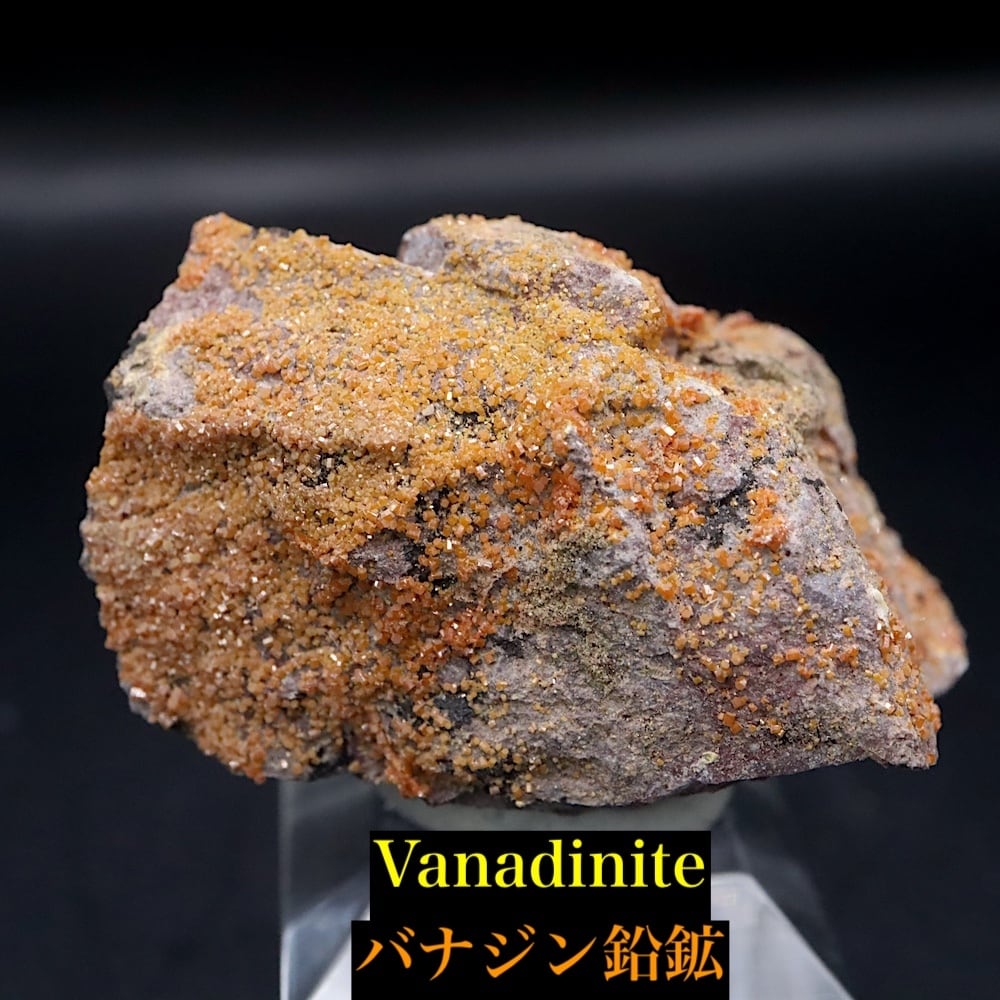 バナジン鉛鉱 | 鉱物 天然石 American Minerals + Gemmy You