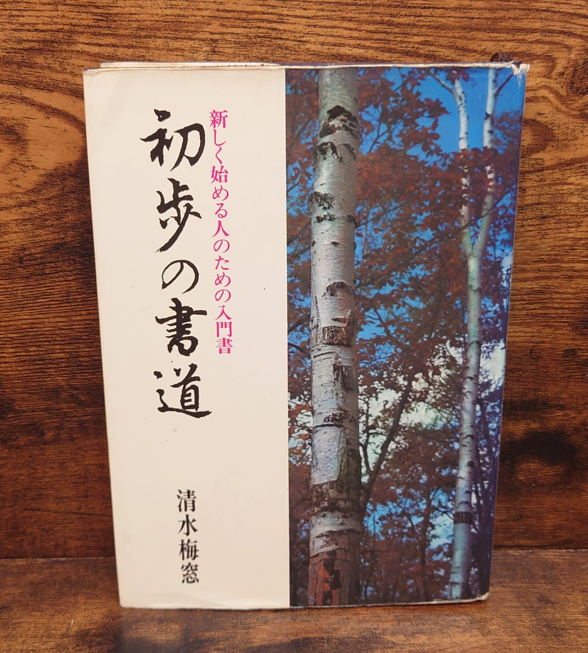 展大法帖 （学生版 古法帖）5点セット | 弥生坂 緑の本棚