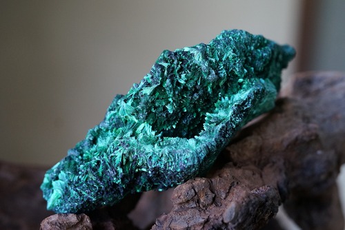 ヴェルヴェット マラカイト Malachite ①