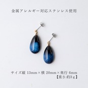 とろり（大）　ピアス/イヤリング