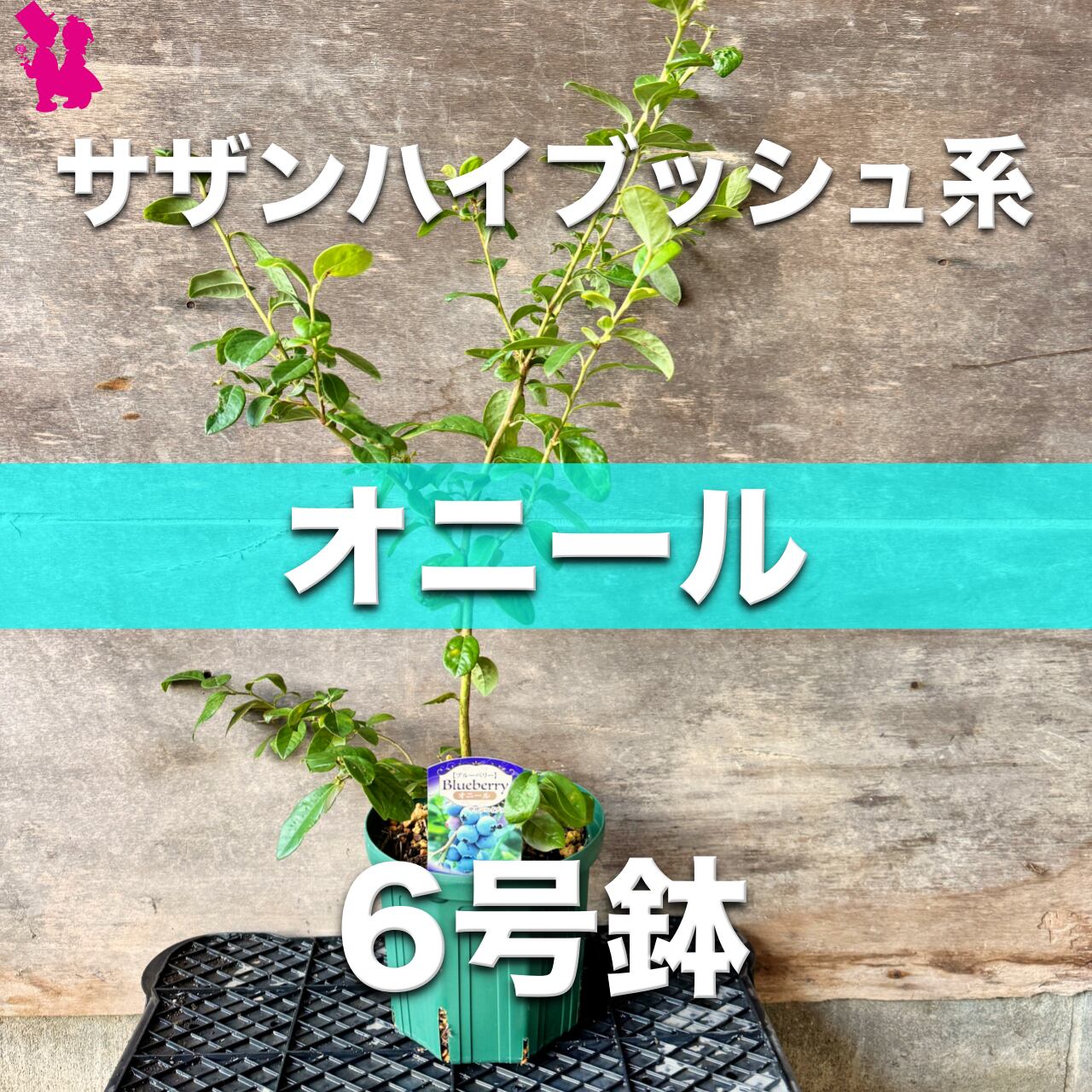 c2610e26c00d9829a5ca33d3b54827