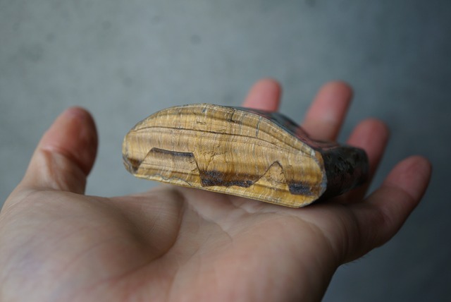 南アフリカ産タイガーアイ Tiger's Eye 1828