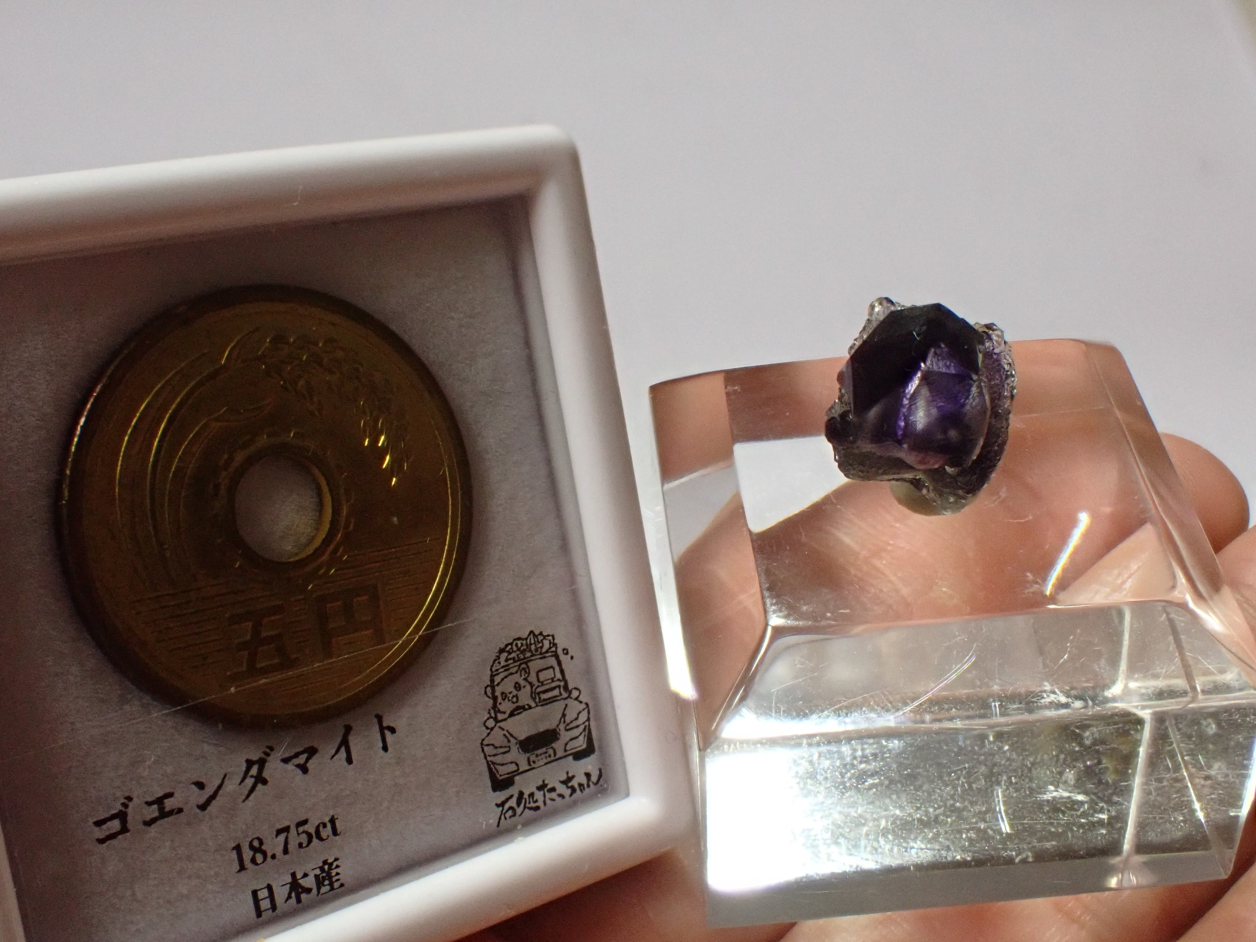 黒竜江省】手裏剣模様 フローライト 蛍石 原石 標本 | 石処たっちゃん