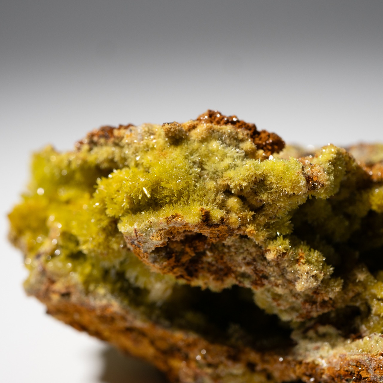 パイロモルファイト / 原石 標本