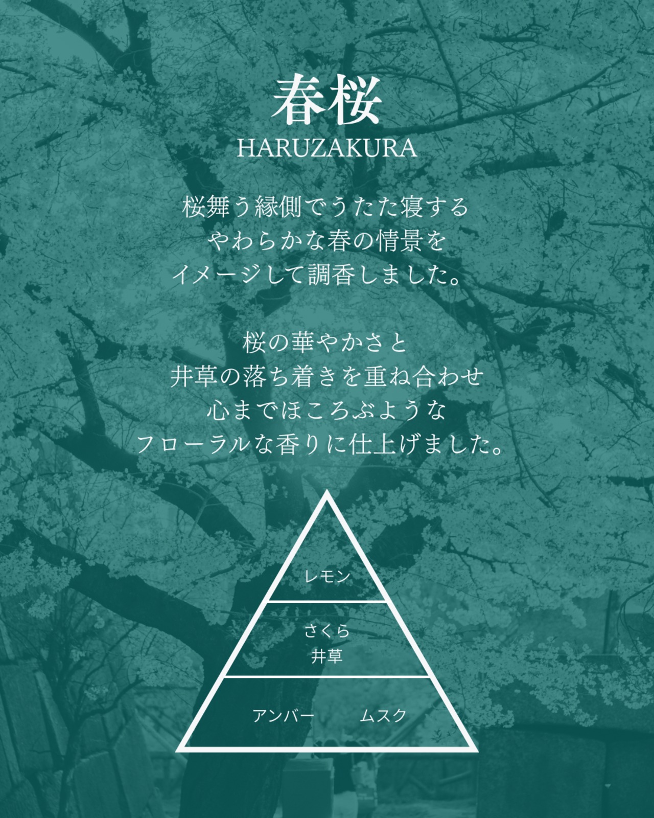 【一点】gui：ぐい – Mother's Day color