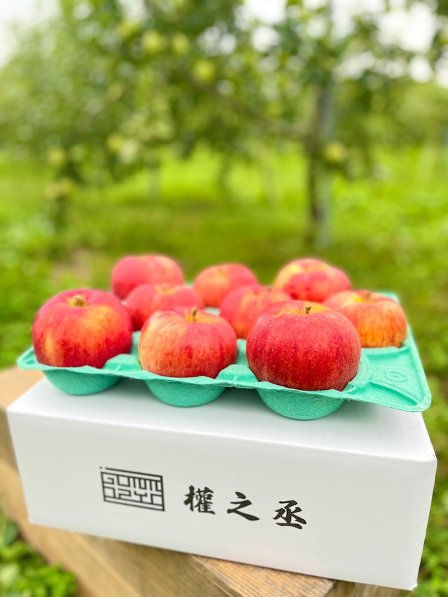 葉取らずつがる家庭用 3㎏ 【8~12個】