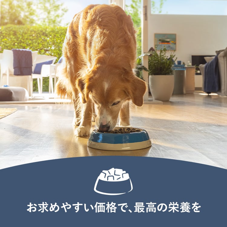 お試し】ZIWI Peak サンプル 30g×6袋 スチーム＆ドライ