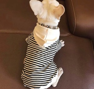 オシャレパーカー☆☆