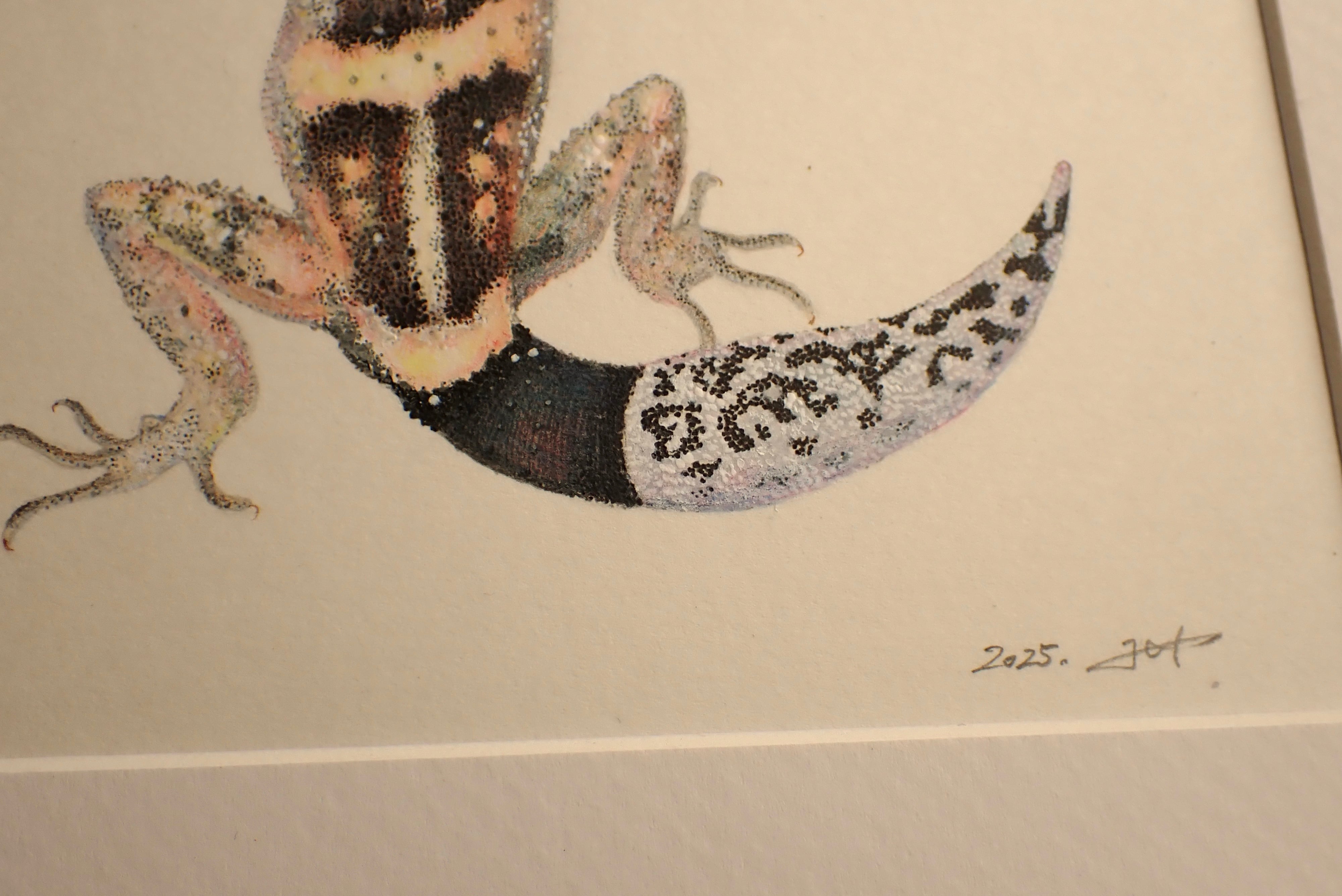 オビトカゲモドキ原画 | BUG-U
