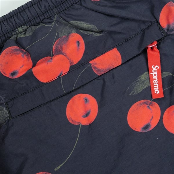 Size【M】 SUPREME シュプリーム 19SS Nylon Water Short Black Cherry