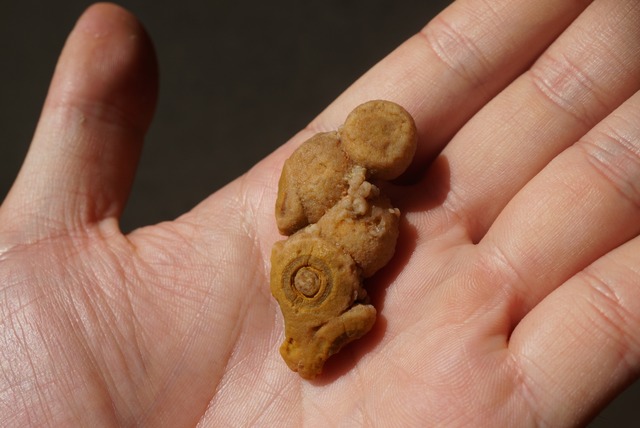 ゴビアゲート 特殊 Gobi Agate 1316