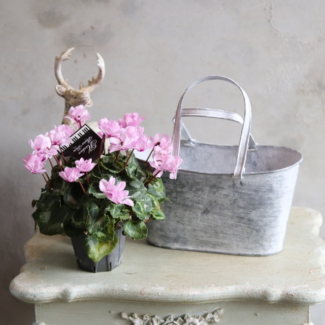 ブリキ植木鉢 　ブリキバッグM　シャビーシック　オシャレ　4062